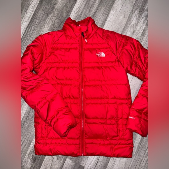 Red North Face Jacket - Picture 1 of 3